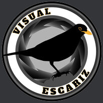 Visual Escariz Escuela de Cine logo